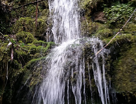 Cascada que se forma de un afluente de agua y que abastece el acueducto de floresta y en invierno forma grandes chorros de agua y es visitada por pobladores de la región y sus alrededores.