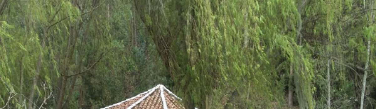 Fuente Los Alisos