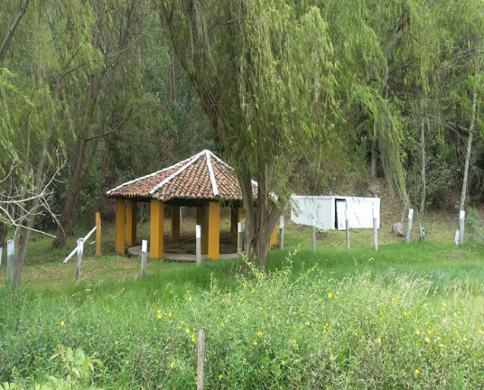 Son 4 yacimientos de agua de los cuales el principal es la fuente los alisos cubierta por un kiosco en teja de barro de la que se abastece el centro recreacional y turístico los alisos y el acueducto del que se beneficia parte de la población. Antiguamente se usaba como lavadero comunal.