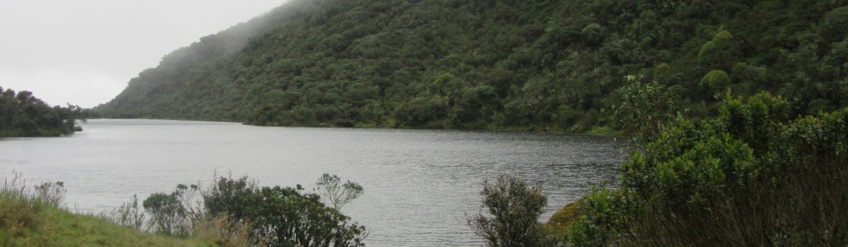Sendero Laguna Negra