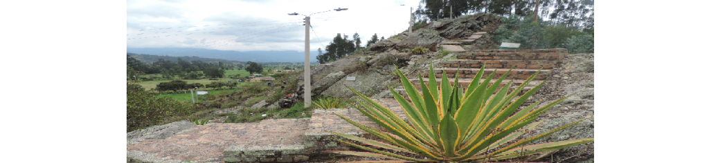 Lleva este nombre ya que fue elegido por Simón Bolívar para dirigir desde este sitio la batalla que allí se consolidó. Desde este cerro se puede apreciar una sensacional panorámica del Pantano de Vargas.