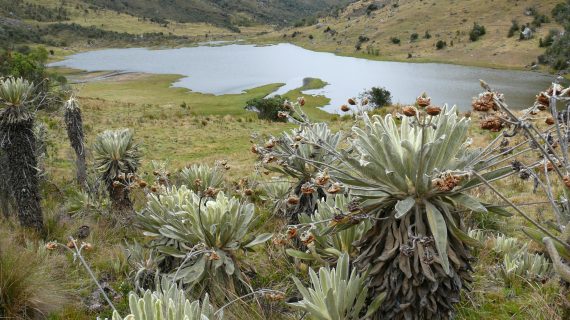 Sendero de energía renovable_ Laguna de Pantanohondo- Chiscas (8)