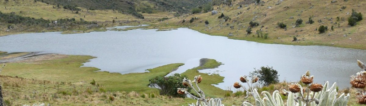 Laguna Pantanohondo