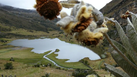 Sendero de energía renovable_ Laguna de Pantanohondo- Chiscas (9)