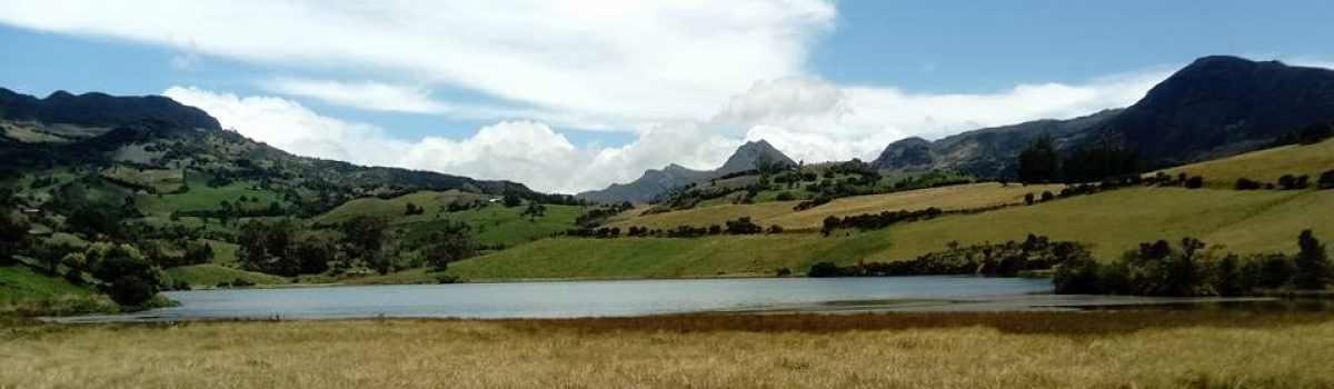Laguna el pachacual