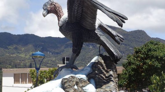 8. parque principal