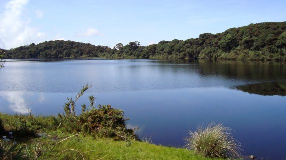 Laguna Calderona Jaime Avila, 2008