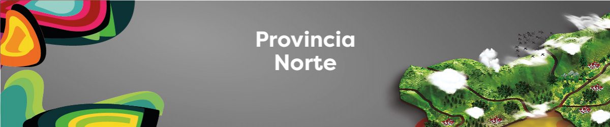 PROVINCIA NORTE