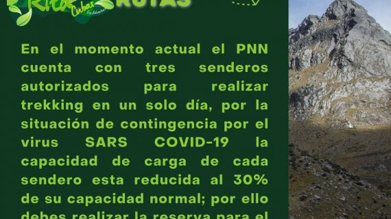 ritacubas (10) ritacubas (10)