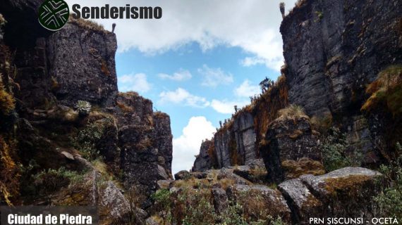 Portafolio de servicios mongui travels_page-0008 Portafolio de servicios mongui travels_page-0008