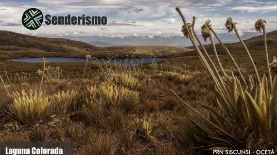 Portafolio de servicios mongui travels_page-0009 Portafolio de servicios mongui travels_page-0009