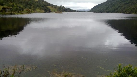 Laguna Negra