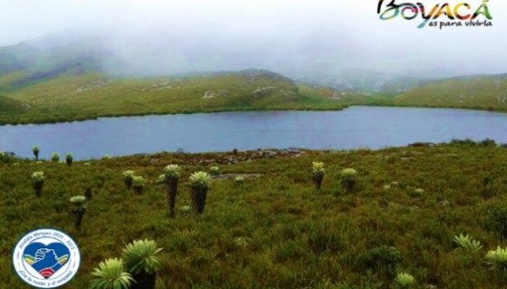 laguna de la estrella