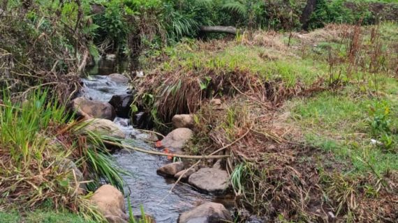 quebradas Motavita Tulia Boyacá quebradas Motavita Tulia Boyacá