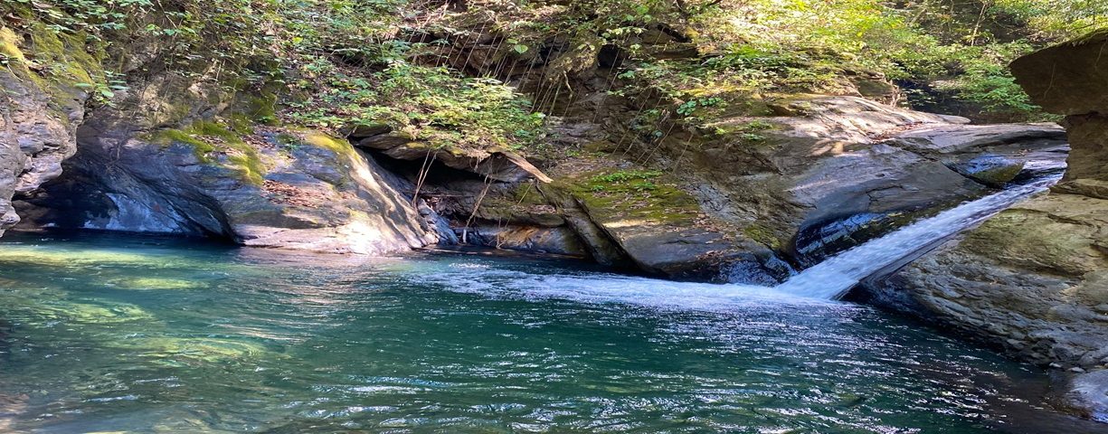 Quebrada la corozo paya Boyacá agua