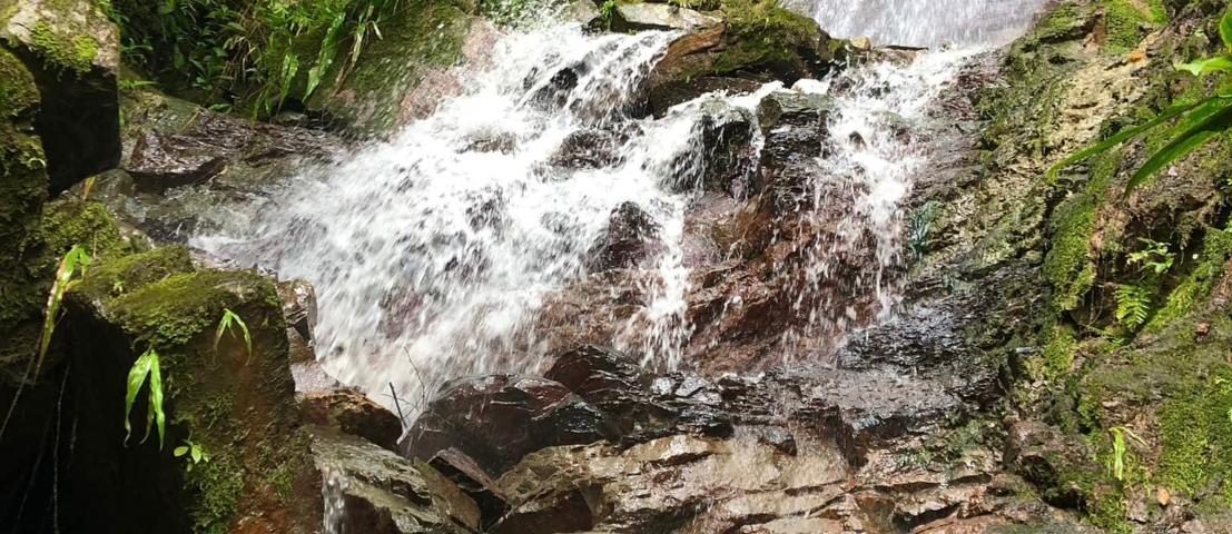 Termales de Morcote Paya Boyacá naturaleza