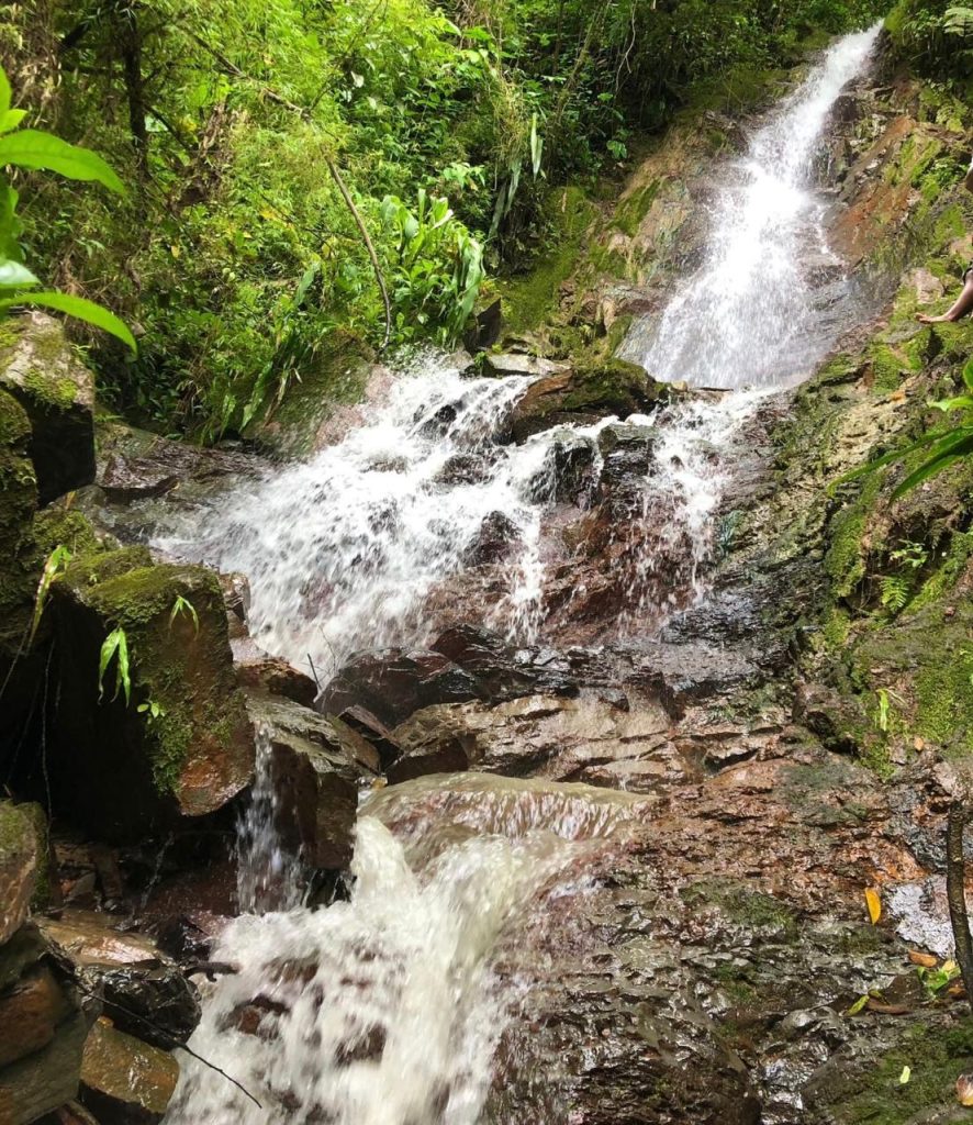 Termales de Morcote Paya Boyacá naturaleza