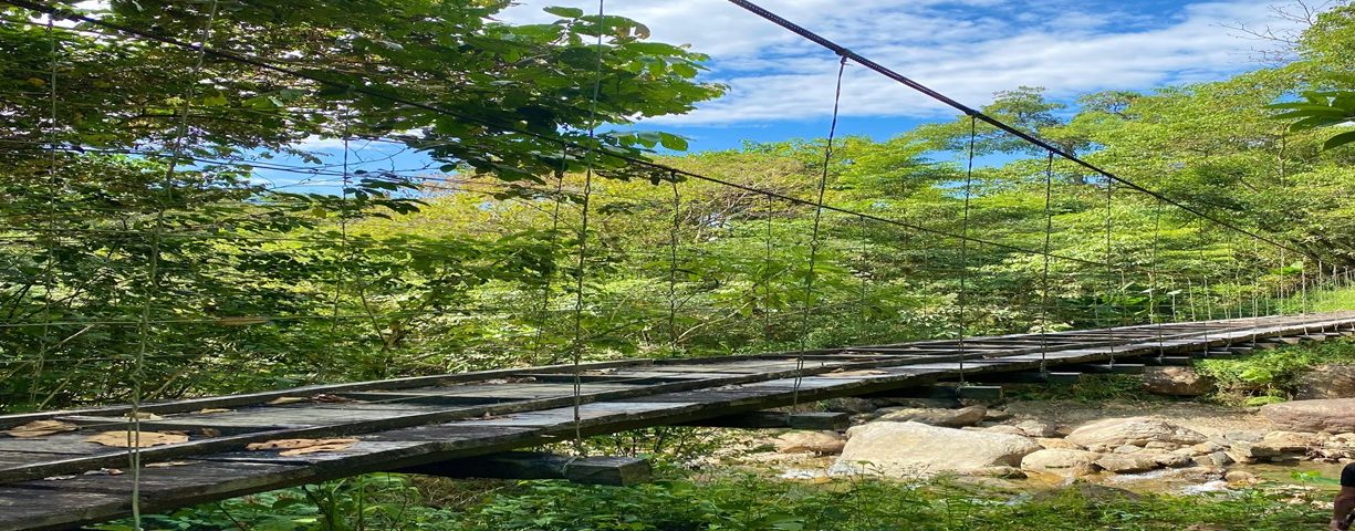 Quebrada la corozo paya Boyacá puente