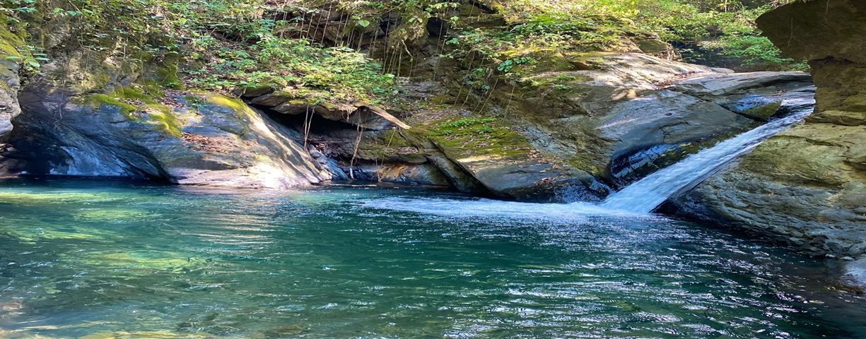 Quebrada la corozo paya Boyacá agua naturaleza
