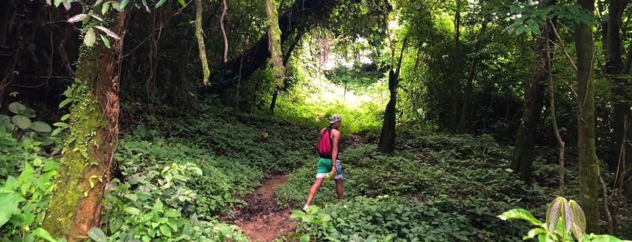 Termales de Morcote Paya Boyacá