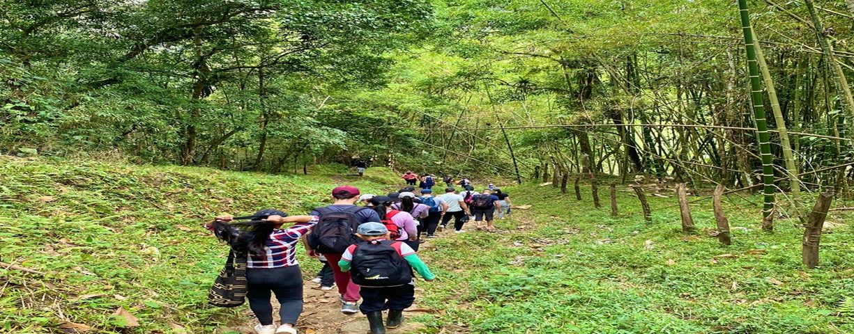 Quebrada la corozo paya Boyacá senderismo