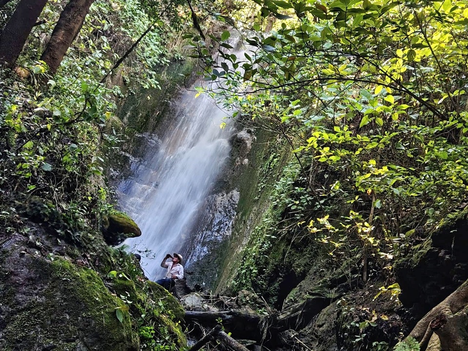 Cultura y Tradición
